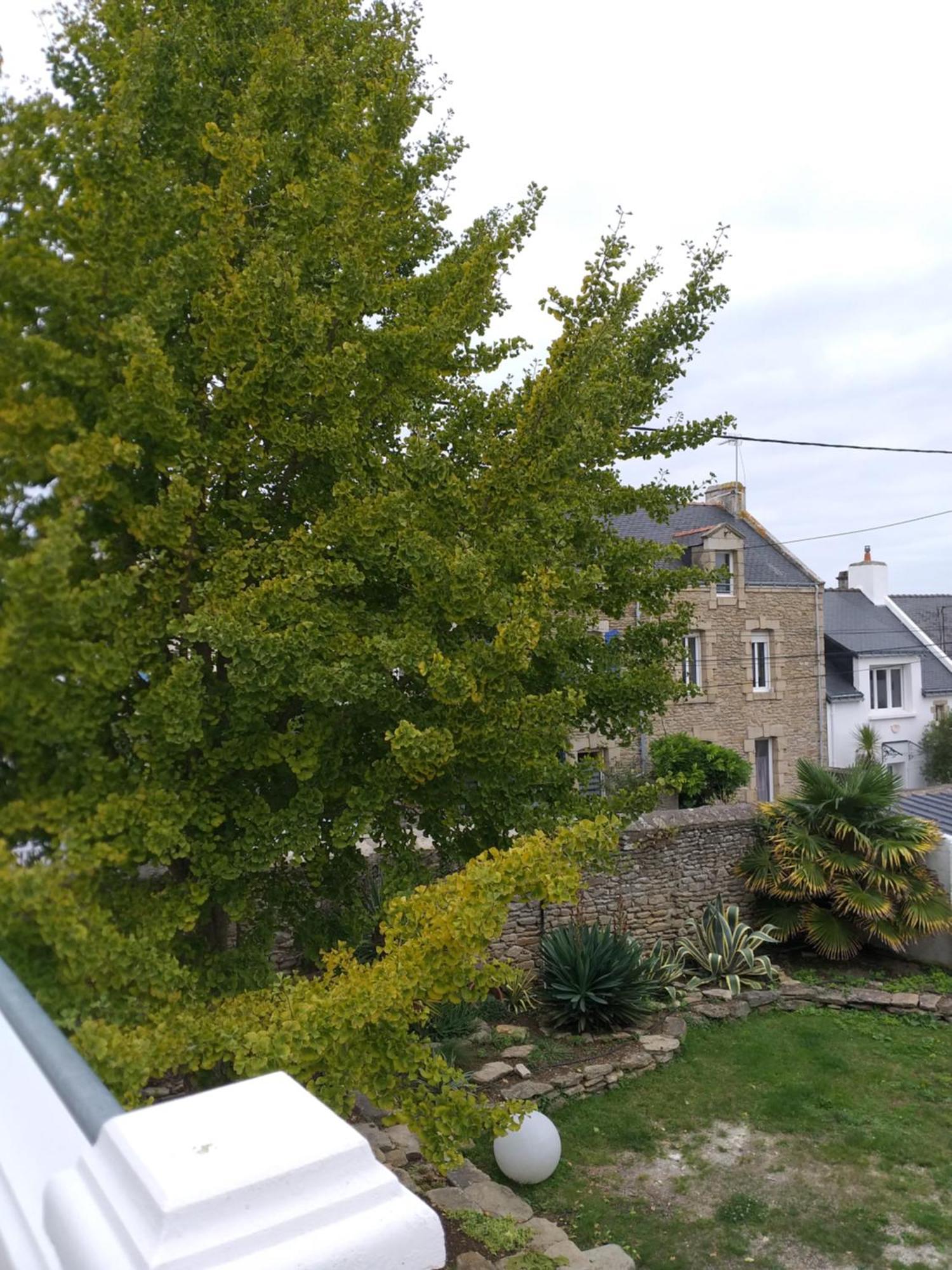 Manoir St Yves -Gite Hotel Quiberon Exterior photo